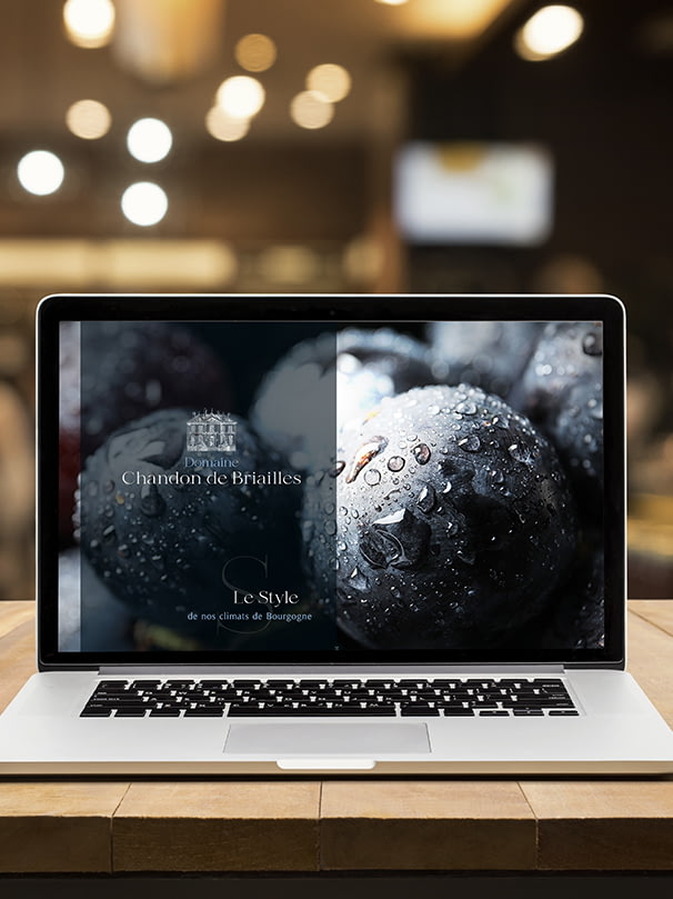 Conseil et accompagnement sur le digital  Accompagnement stratégie digitale Intégration à votre écosystème Suivi des performances du site Gestion 360° Création de site internet sur-mesure  Design et ergonomie respectueuse de l'ADN Optimisation du parcours utilisateur et aussi  Duplication d’architecture pour entités multiples Cartographie Exigence photo et vidéo de haut niveau Gestion des contenus